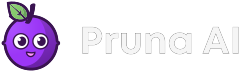 Pruna AI