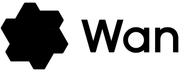 Wan Video